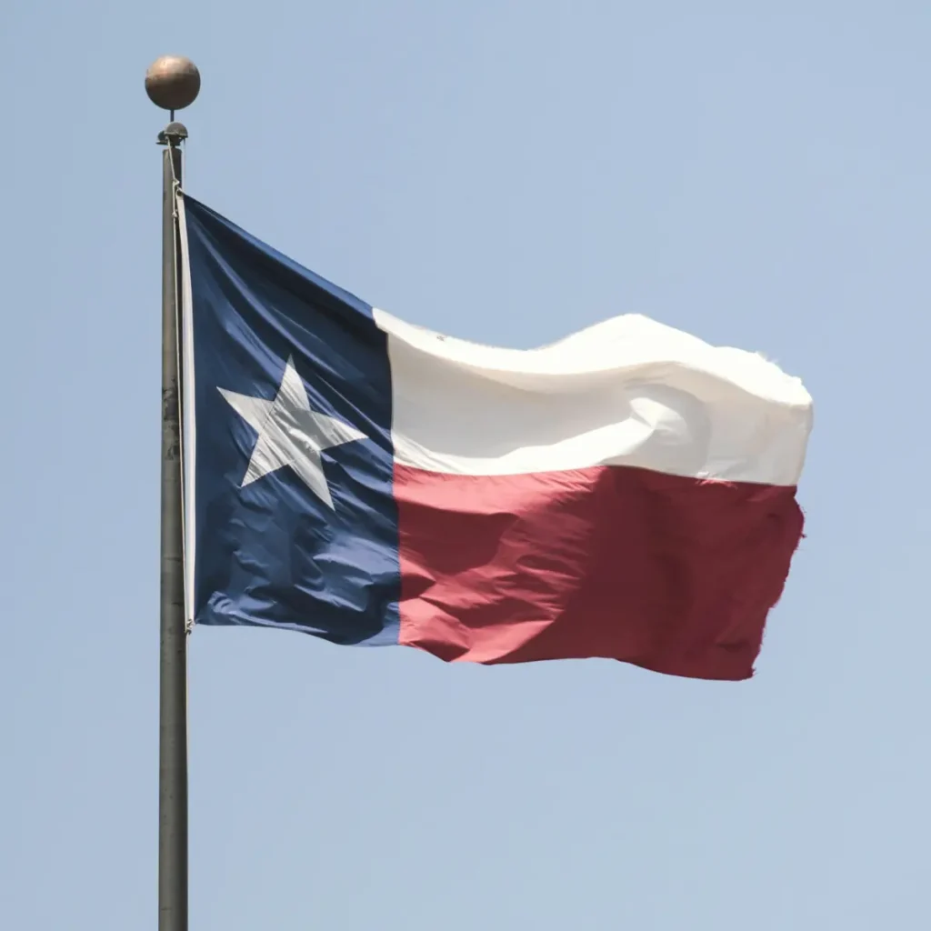 What Texas' Alyssa's Law Means for School Safety Providers